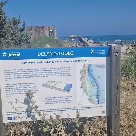 Lg * Venzolasca
