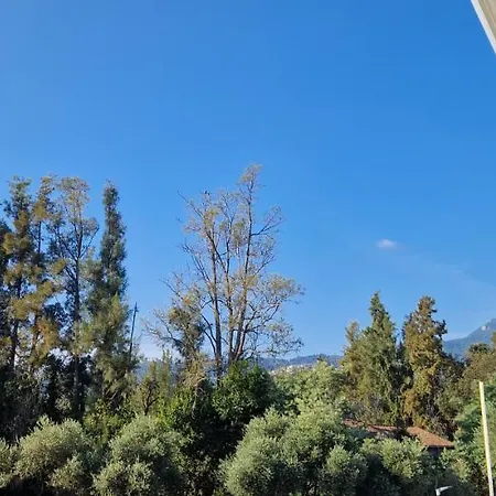 Lg * Venzolasca